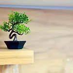 Apartament Charm 1a